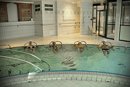Thermes de Evaux-les-Bains 