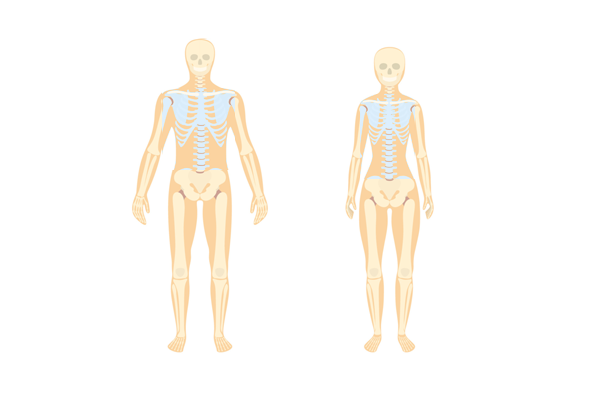 Arthrose lombaire, dorsale, cervicale
